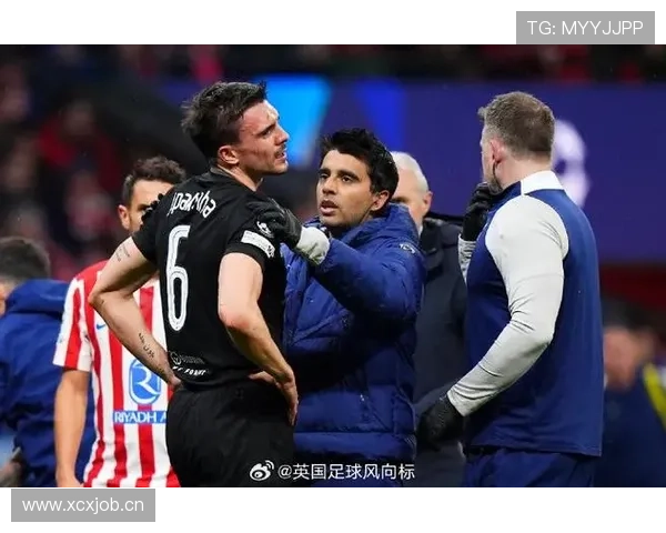 帕利尼亚:从破坏到出球的数据进化解析 帕利尼亚:从破坏到出球的数据进化解析